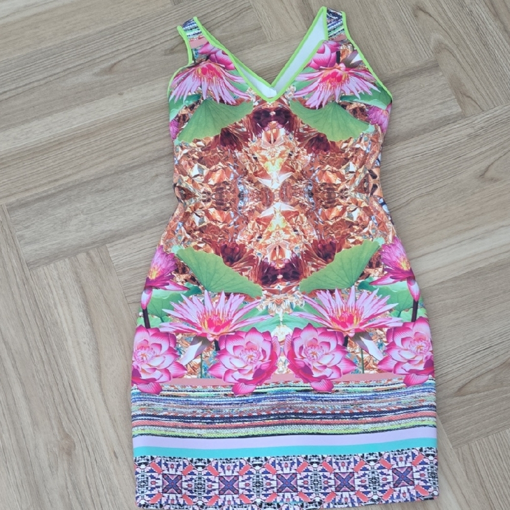 Clover Canyon Pink and Green Floral Mini Dress Medium